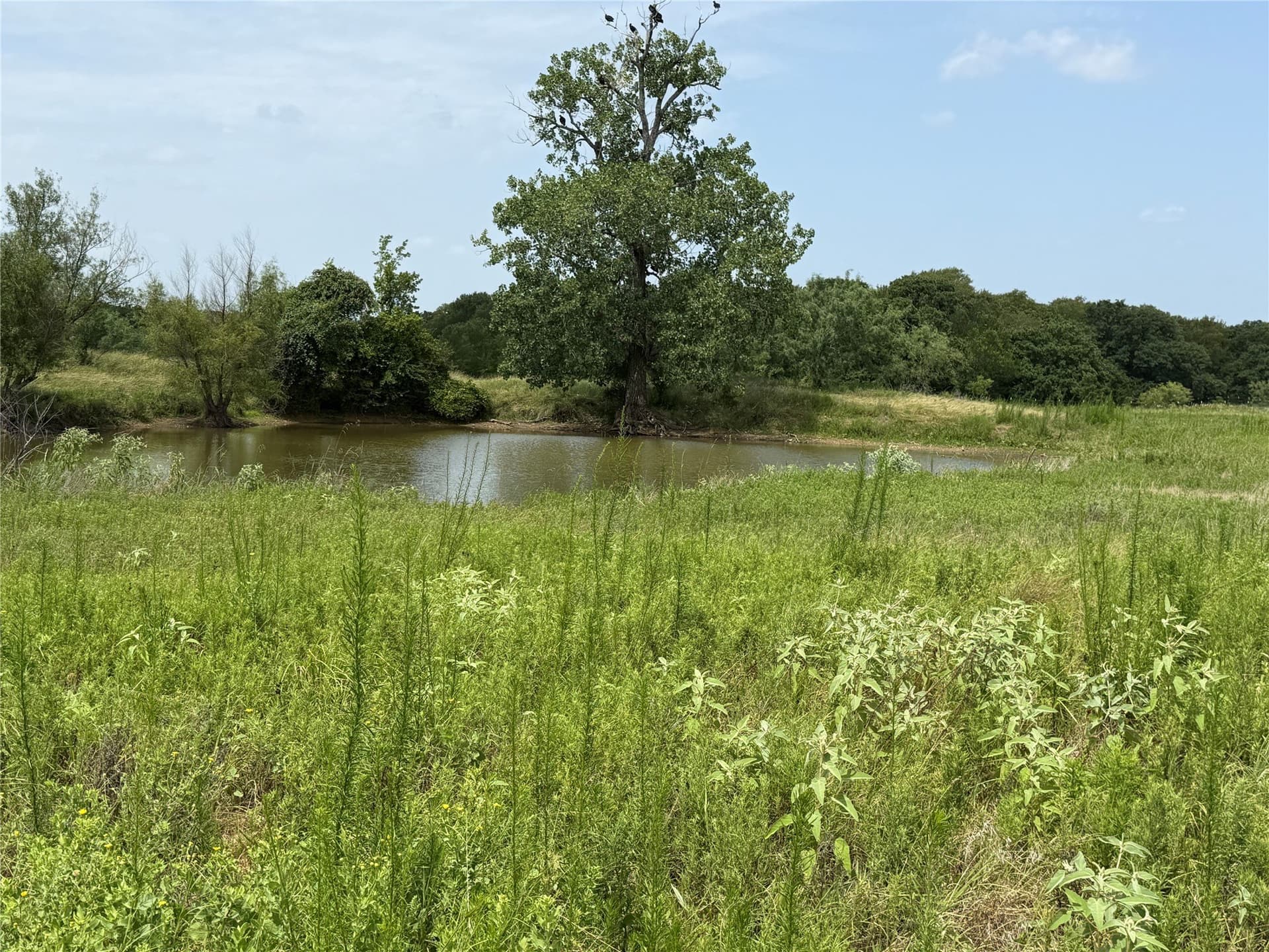13 acres in Hill County - photo 11