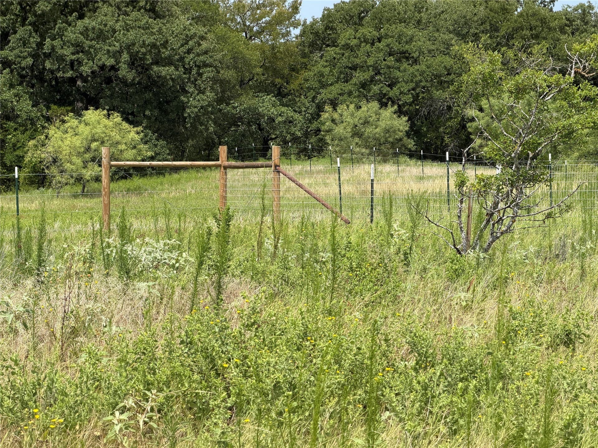 13 acres in Hill County - photo 13