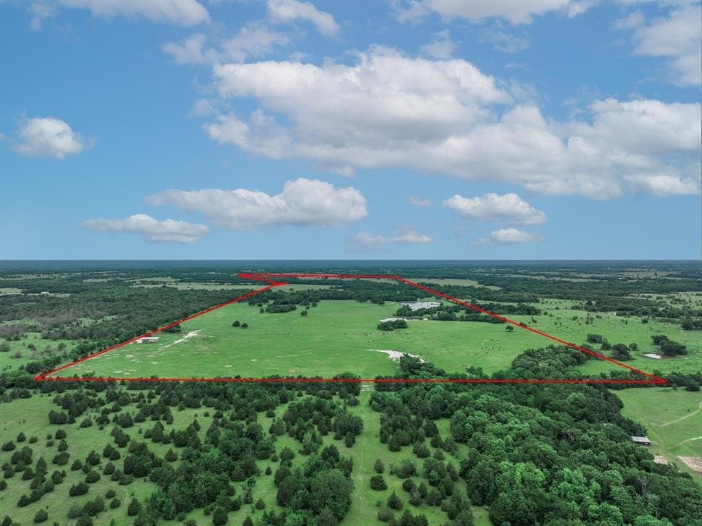 365 acres in Hopkins County gallery image 2