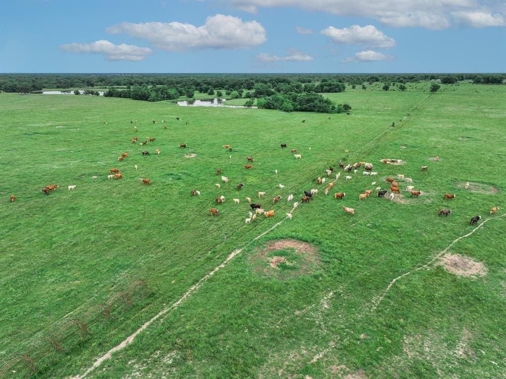 365 acres in Hopkins County featured view