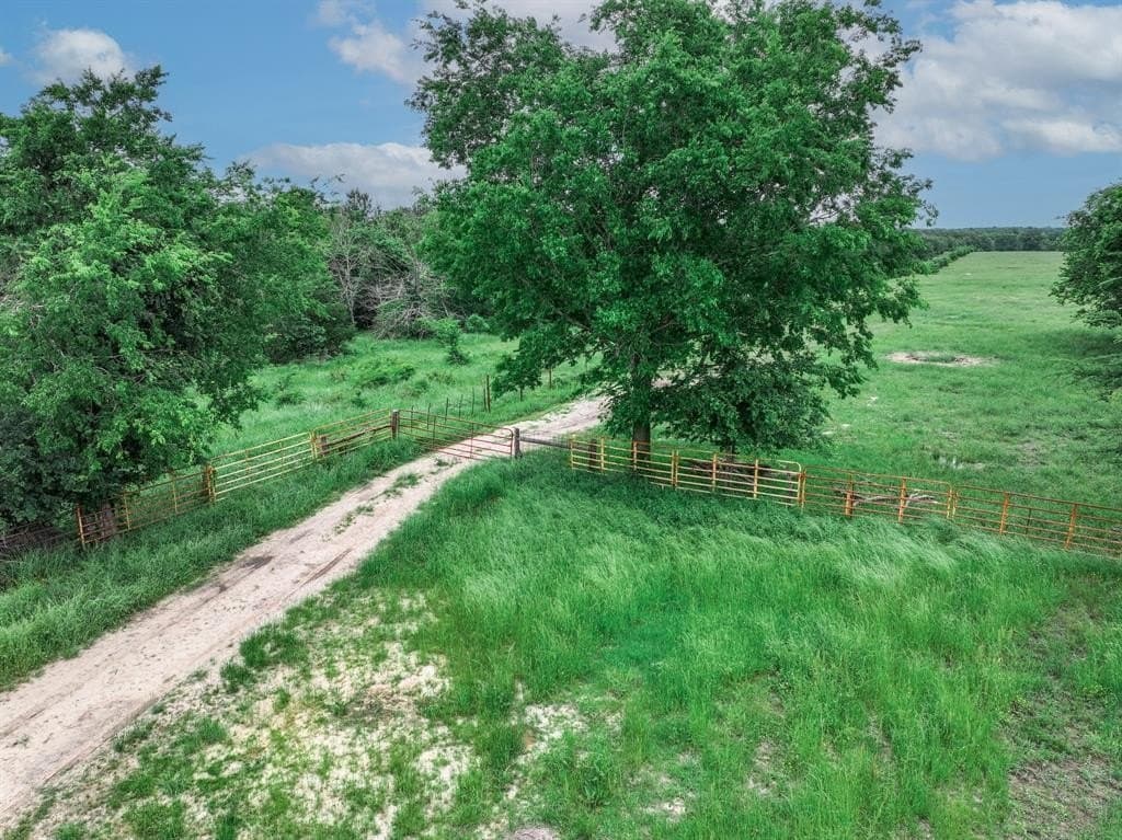 365 acres in Hopkins County gallery image 3