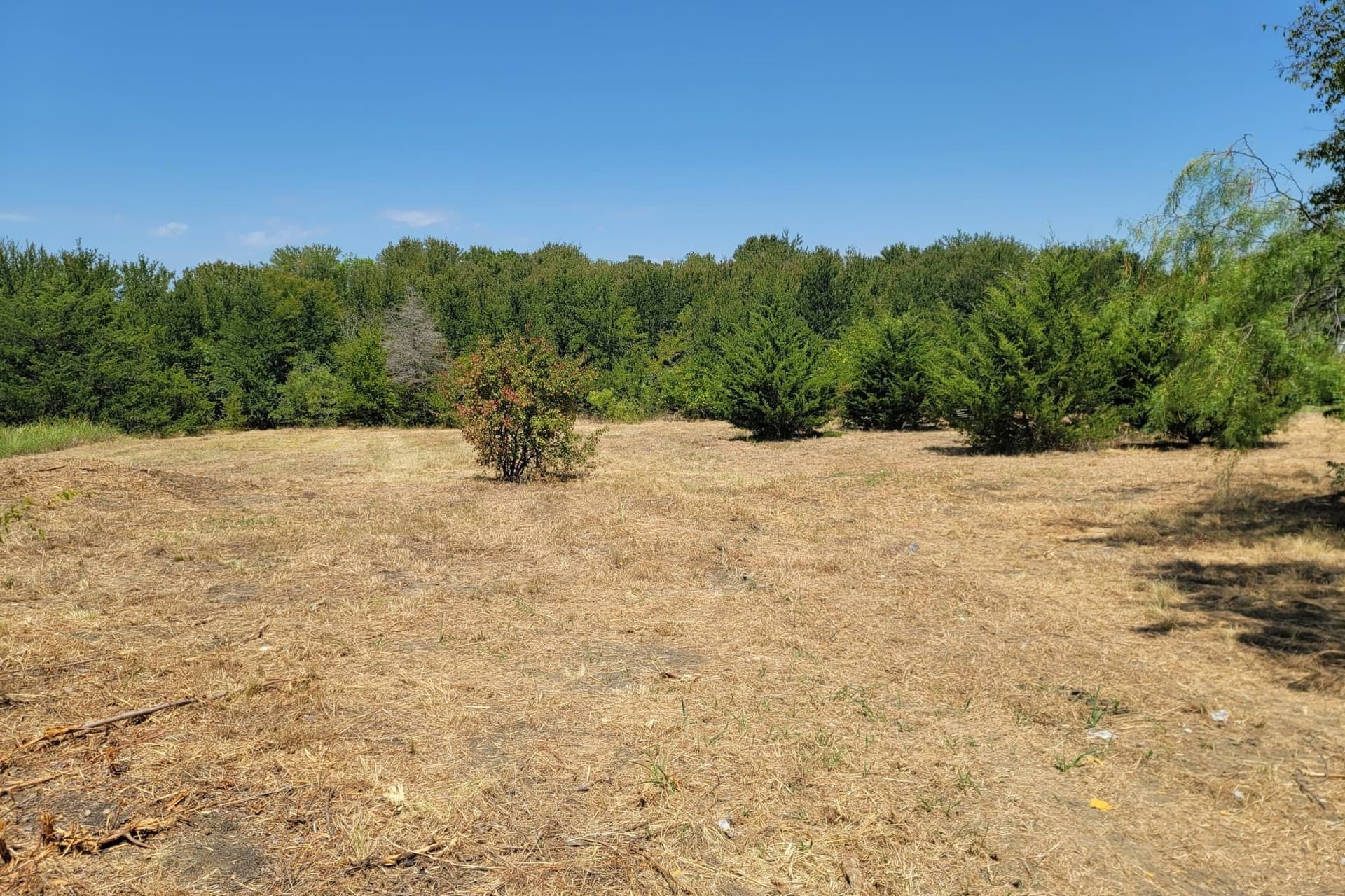 1.07 acres in Hunt County - photo 3