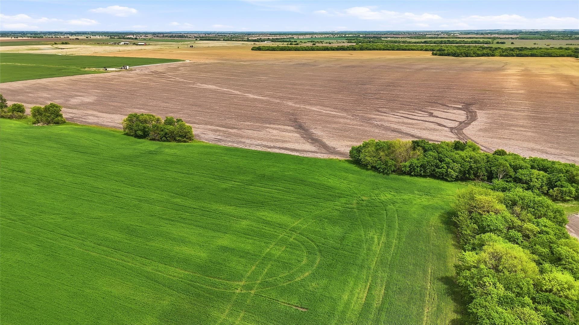 200.96 acres in Grayson County - photo 16