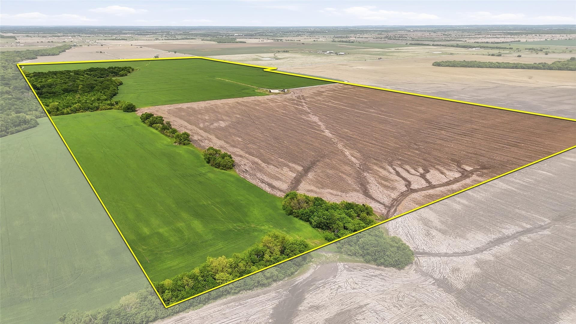 200.96 acres in Grayson County - photo 14