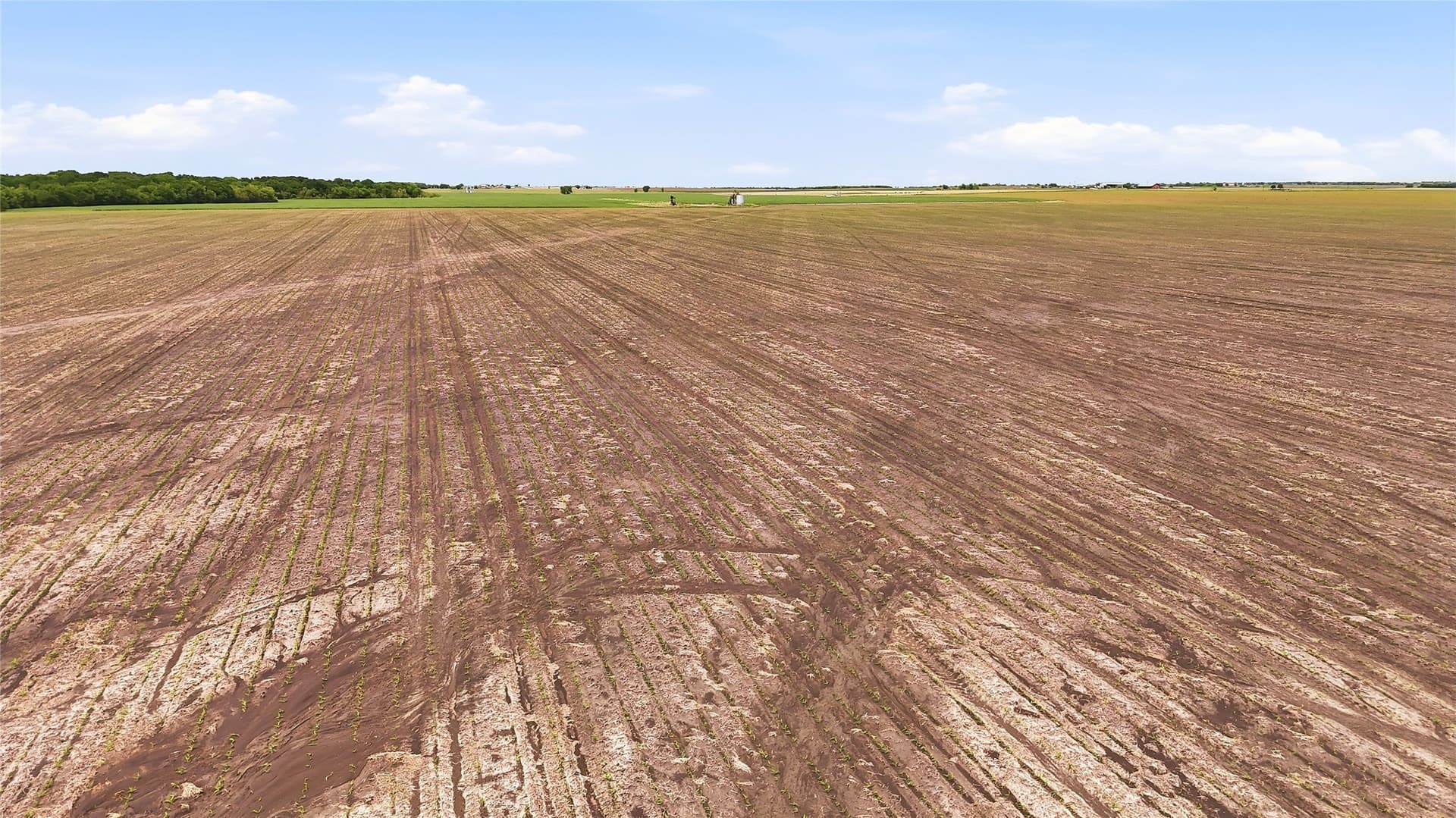 200.96 acres in Grayson County - photo 18