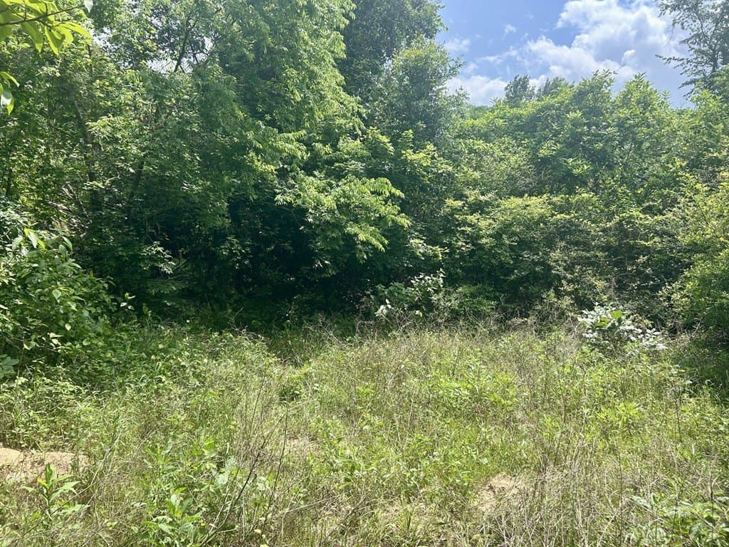 2.36 acres in Texas County - photo 8