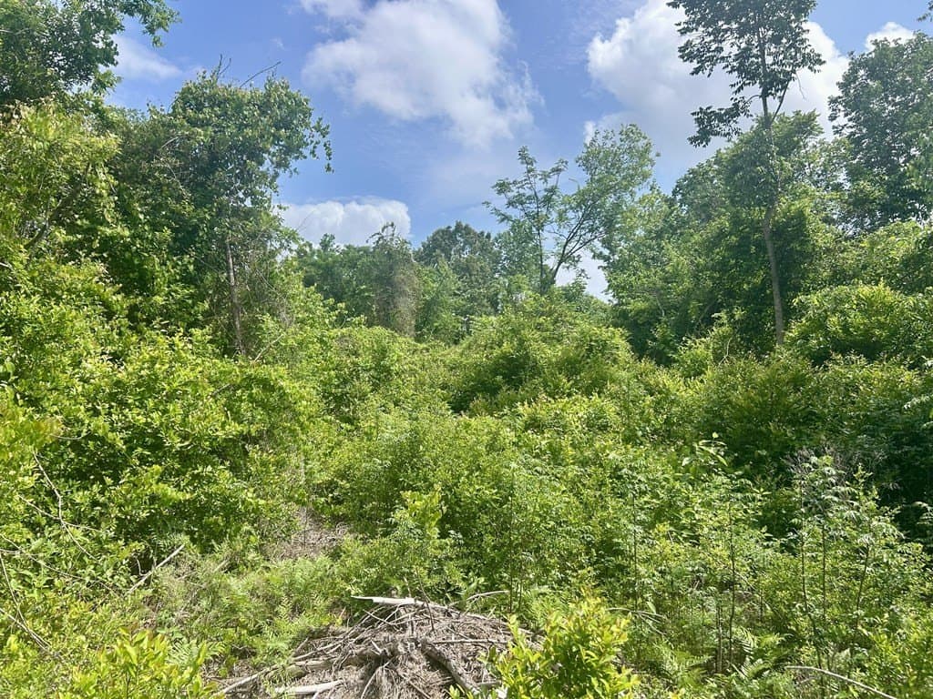 2.36 acres in Texas County - photo 9