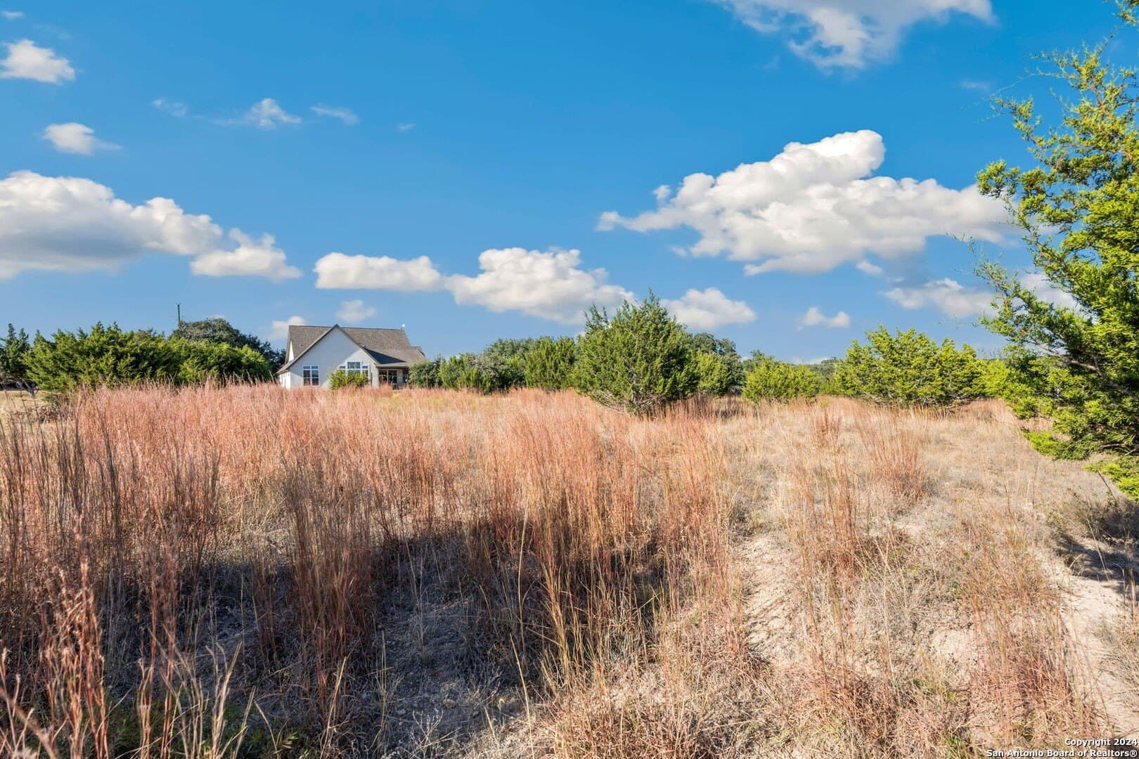 0.3 acres in Blanco County gallery image 4