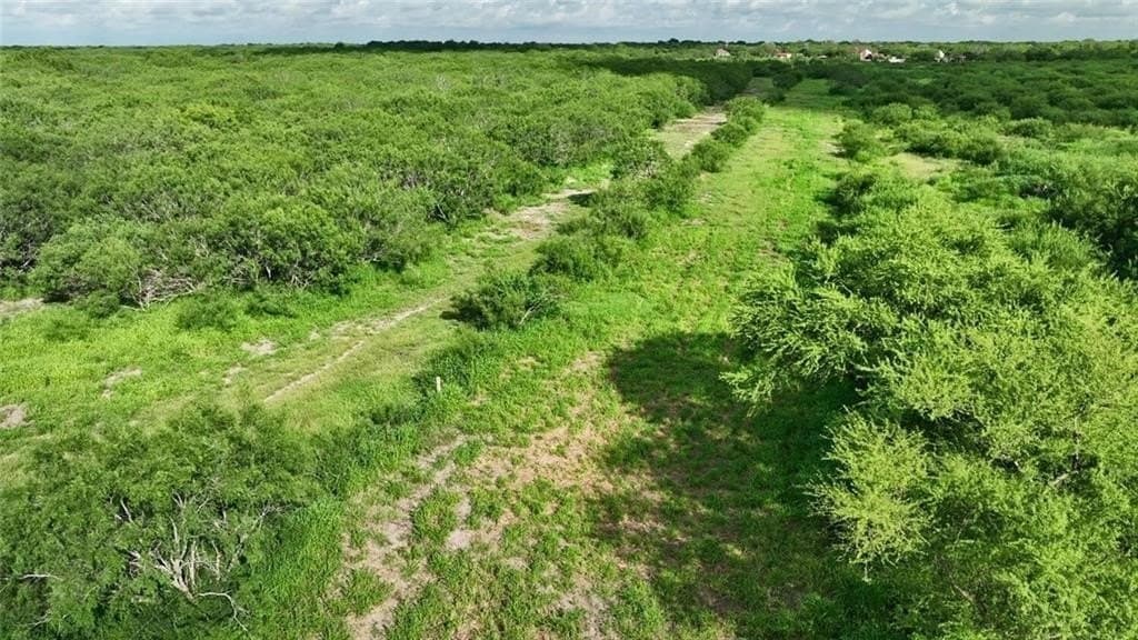 164.59 acres in Kleberg County gallery image 3