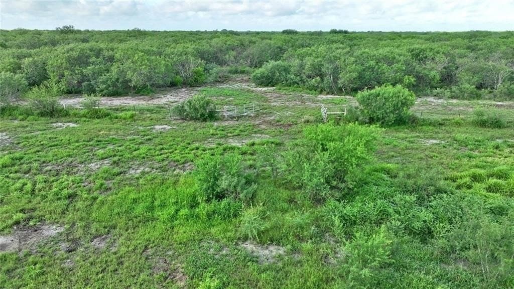 164.59 acres in Kleberg County gallery image 4