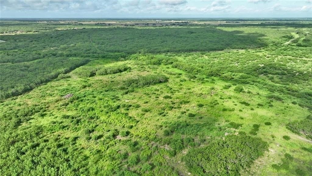 164.59 acres in Kleberg County featured view