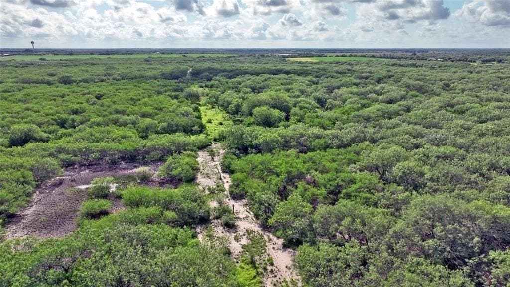 164.59 acres in Kleberg County gallery image 2