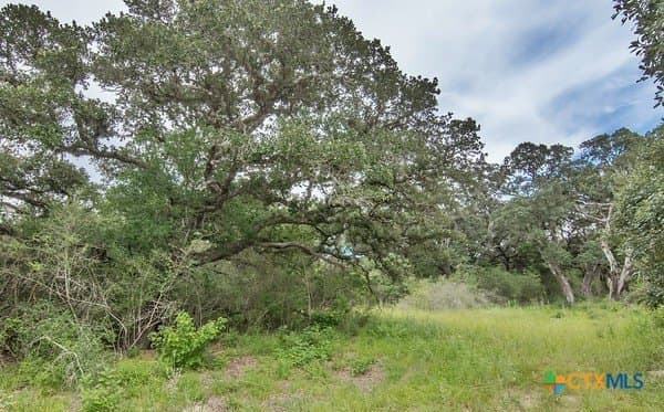 15.32 acres in Jackson County gallery image 4