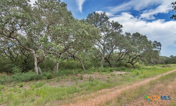 15.32 acres in Jackson County gallery image 2