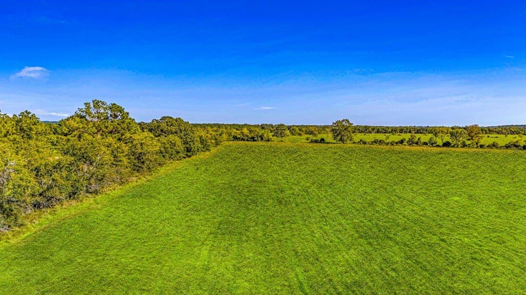 25 acres in Texas County - photo 9