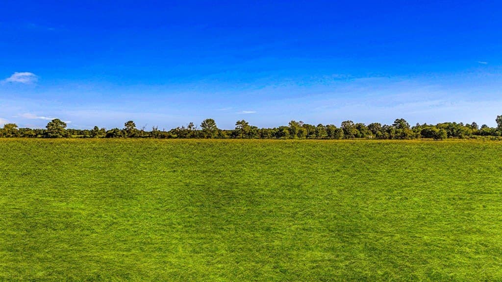 25 acres in Texas County - photo 11