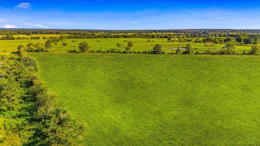 25 acres in Texas County - photo 7