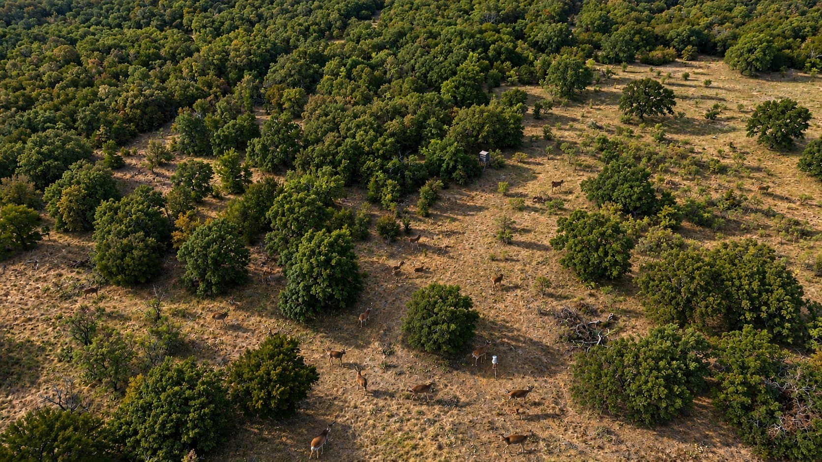 149.39 acres in Jack County - photo 9