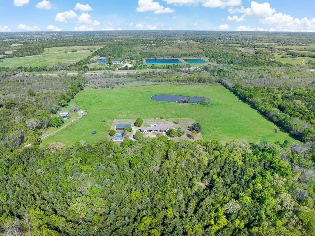 54 acres in Lamar County gallery image 4