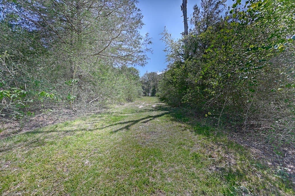 11.95 acres in Austin County - photo 28