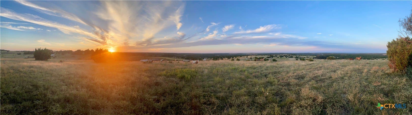 366.47 acres in Burnet County - photo 7