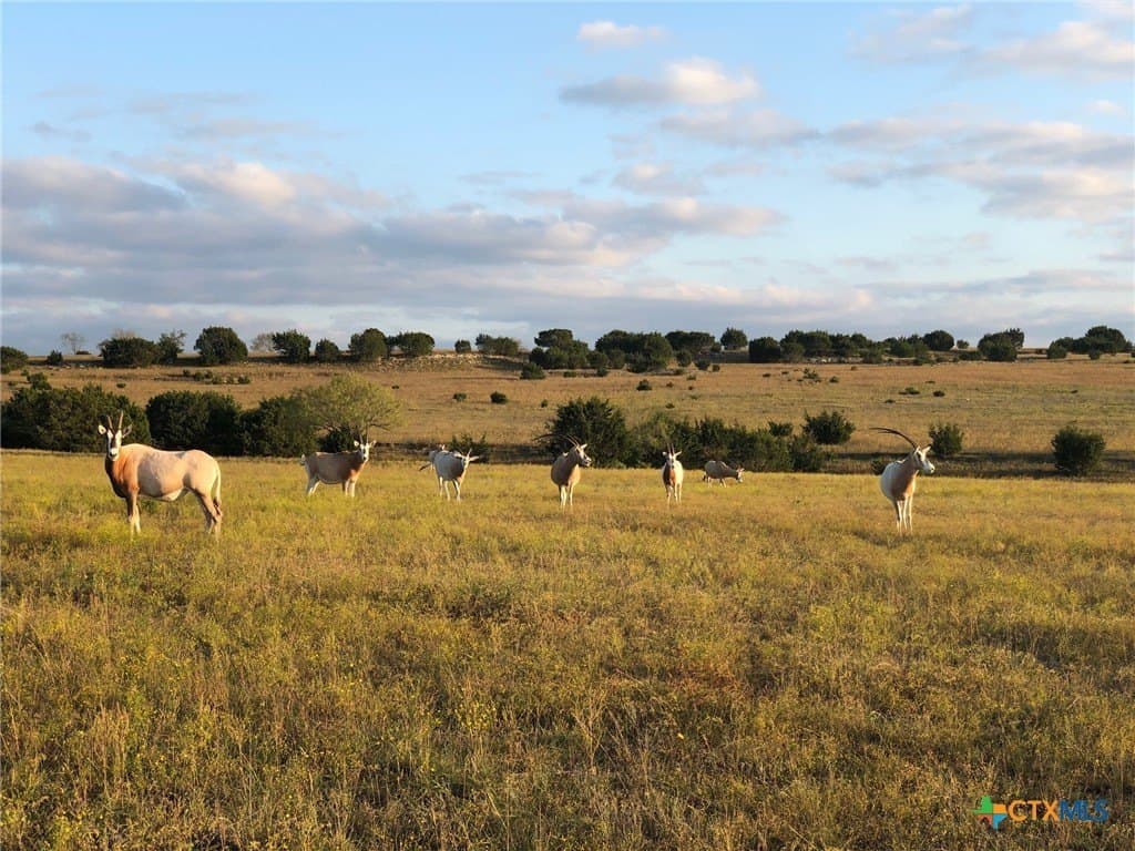 366.47 acres in Burnet County - photo 8