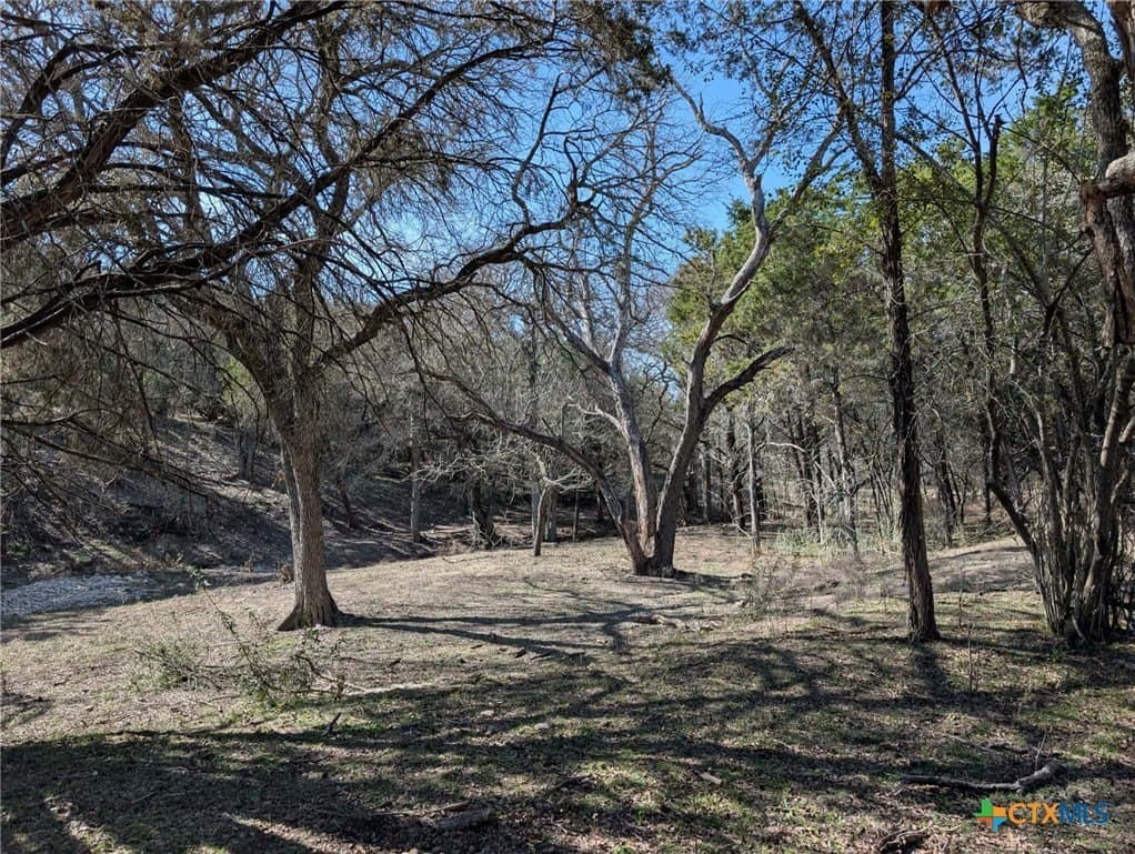 366.47 acres in Burnet County - photo 38