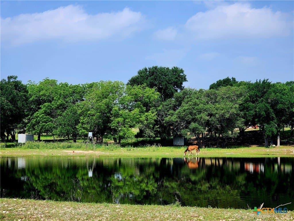 366.47 acres in Burnet County gallery image 2