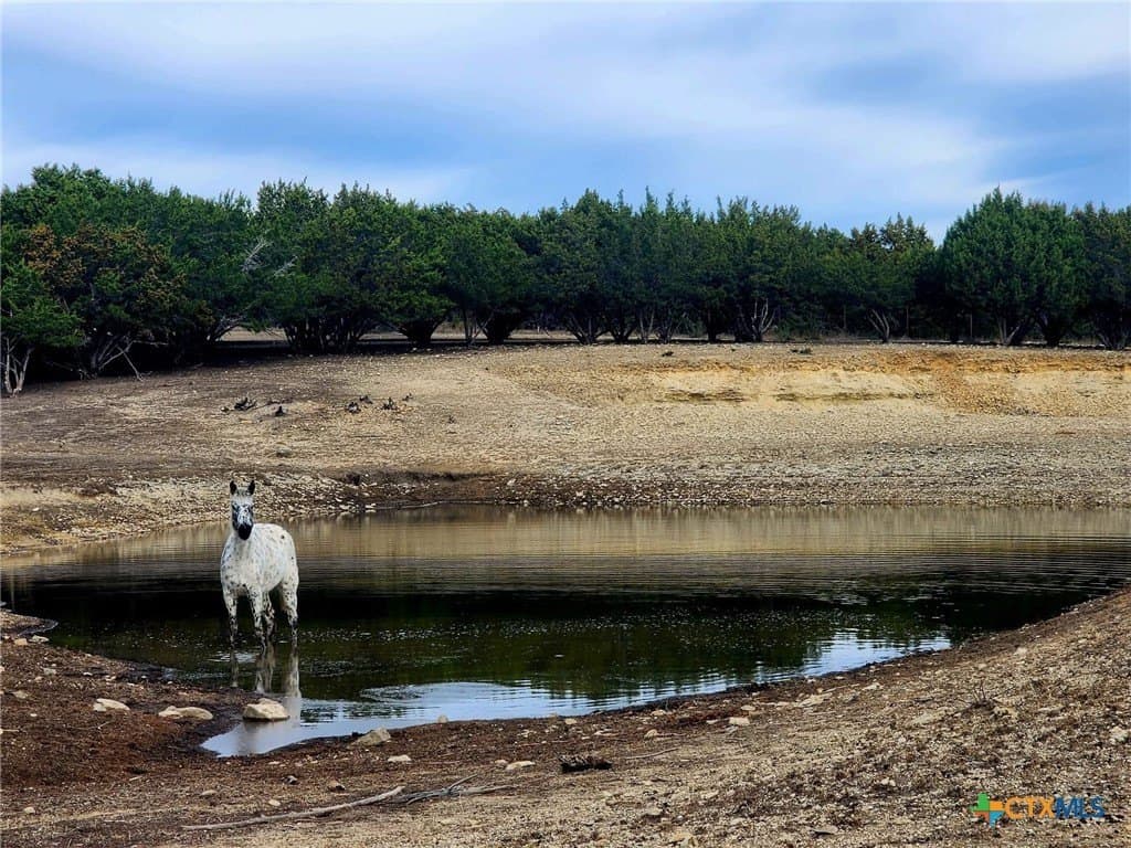 366.47 acres in Burnet County - photo 29