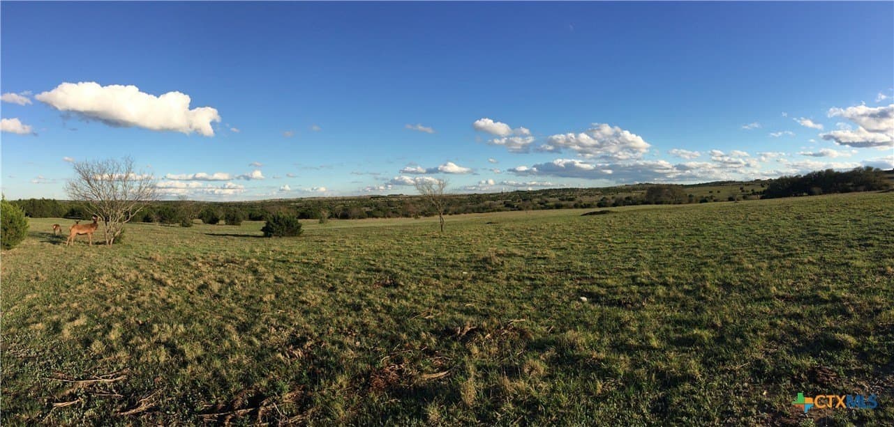 366.47 acres in Burnet County - photo 23