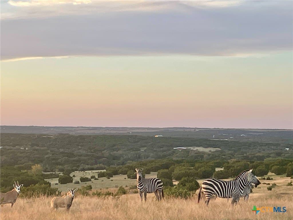 366.47 acres in Burnet County - photo 32