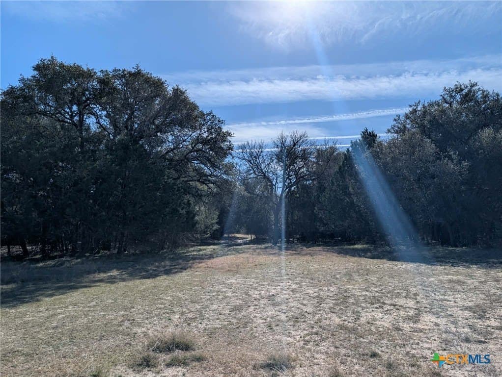366.47 acres in Burnet County - photo 43