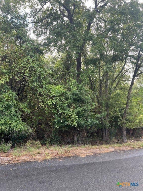 0.41 acres in Bell County - photo 2