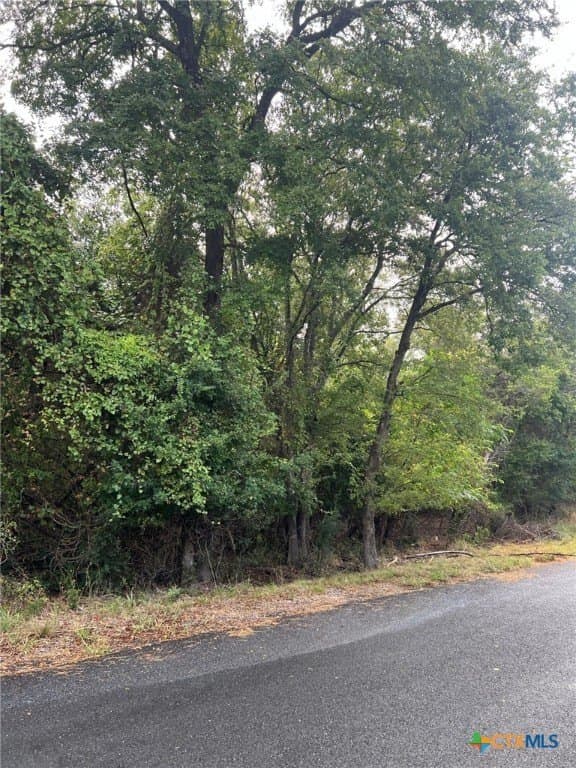 0.41 acres in Bell County - photo 3