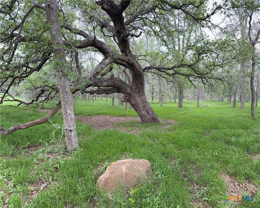 31.3 acres in Gonzales County gallery image 4