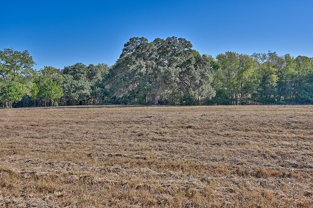 10.5 acres in Fayette County - photo 24