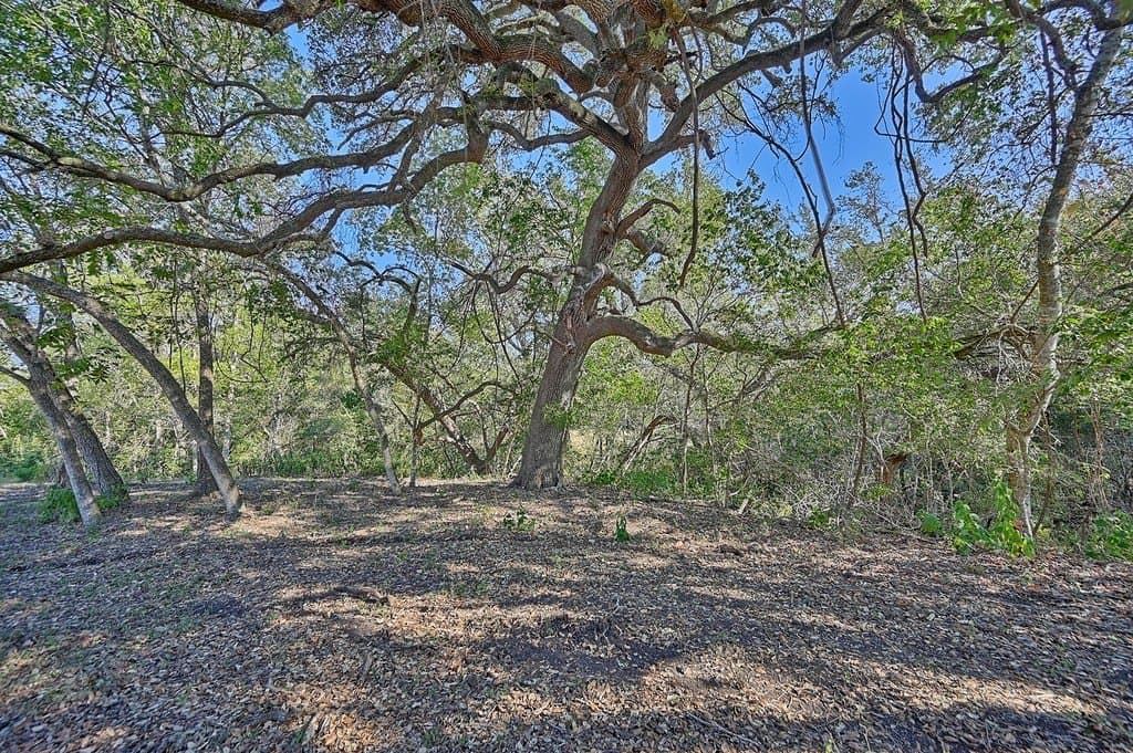 10.5 acres in Fayette County - photo 25