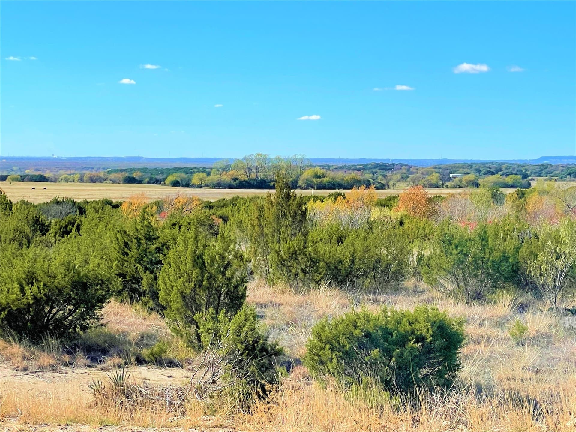 5 acres in Johnson County - photo 9