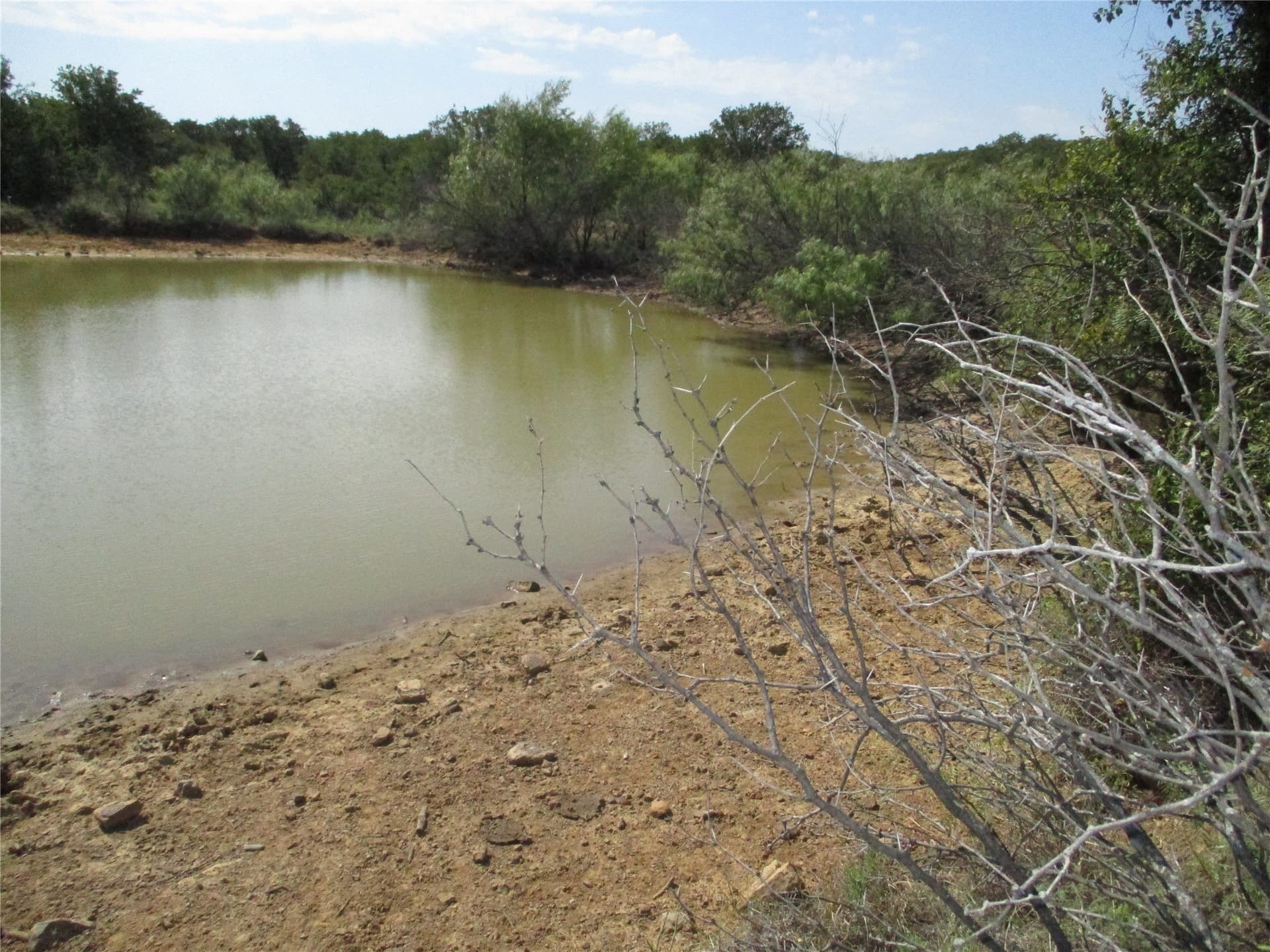 80 acres in Young County gallery image 4