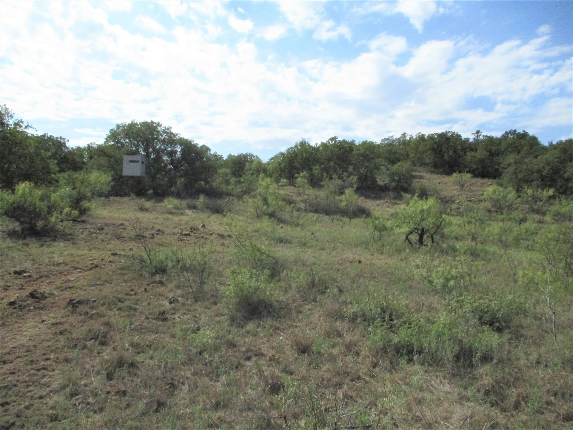 80 acres in Young County - photo 8