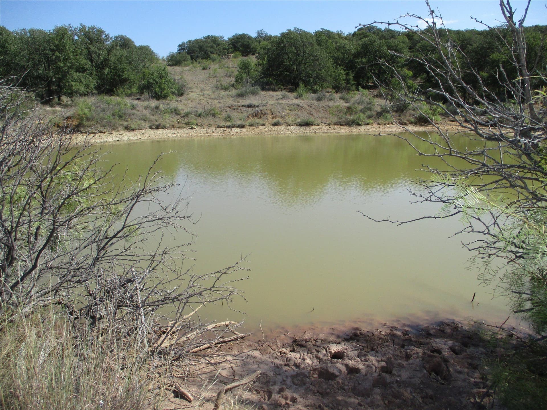 80 acres in Young County gallery image 2