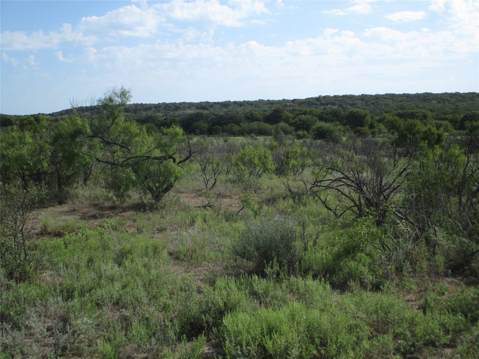80 acres in Young County - photo 6