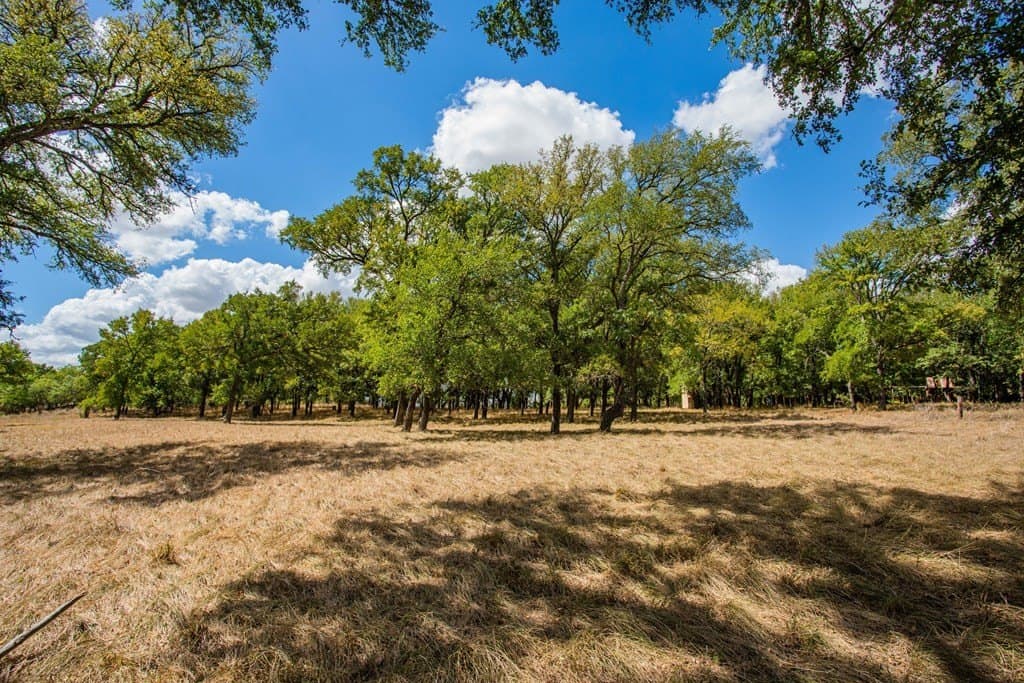 23.7 acres in Gillespie County - photo 48