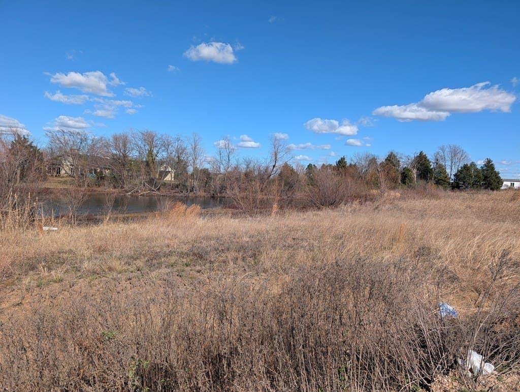 0.82 acres in Henderson County gallery image 2