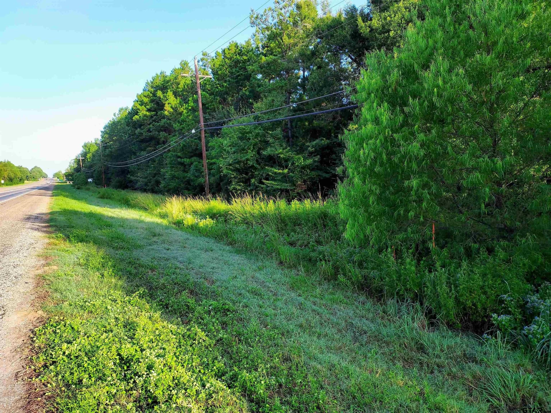 10.62 acres in Wood County gallery image 2