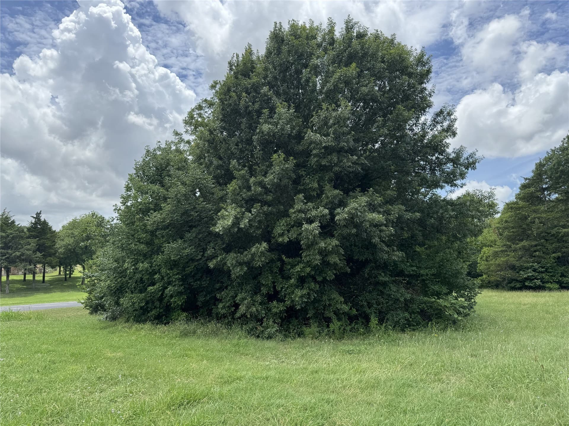 1.06 acres in Collin County - photo 12