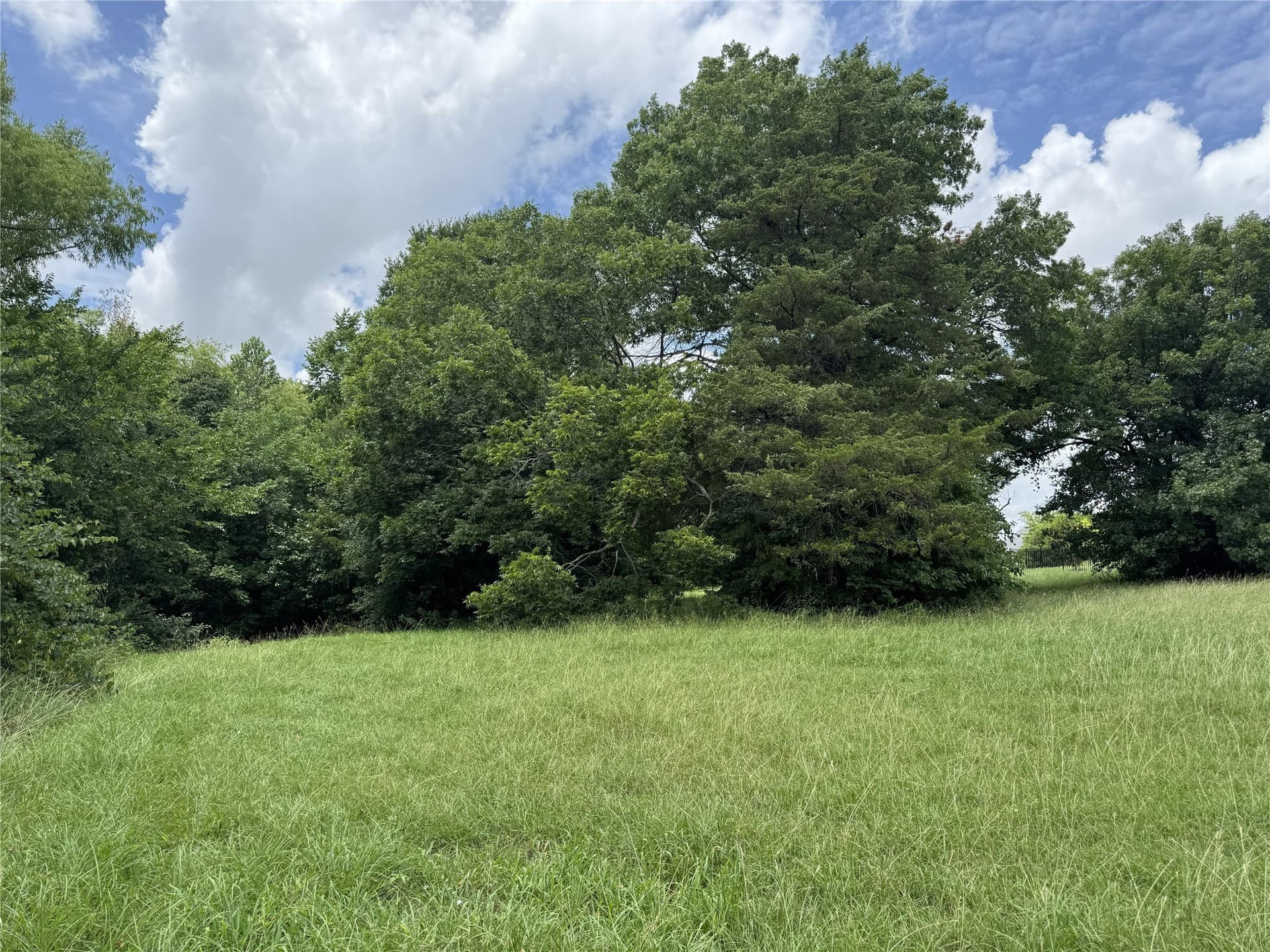 1.06 acres in Collin County - photo 11