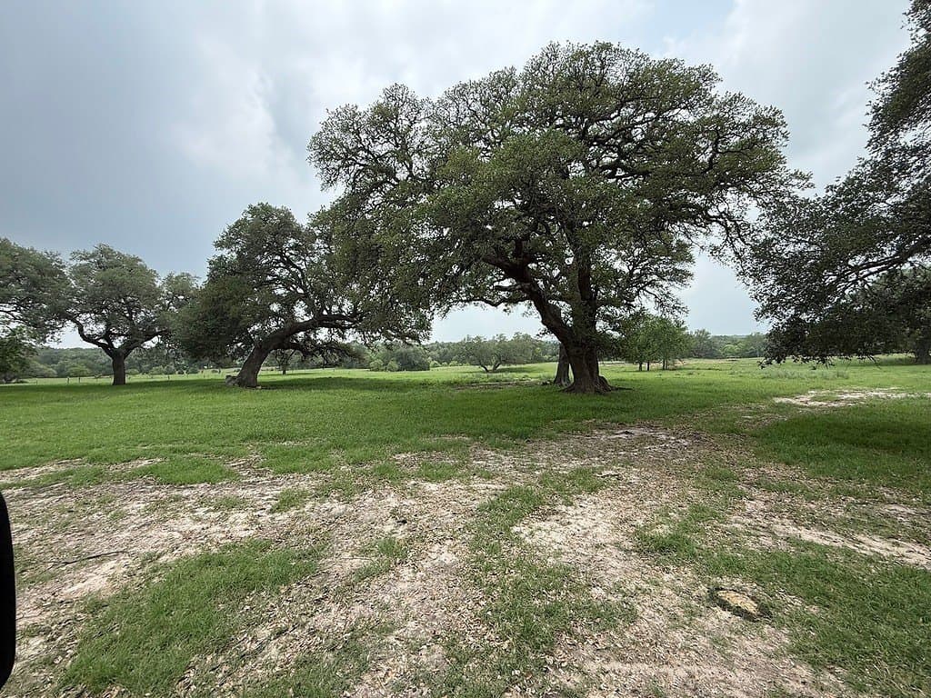 11.5 acres in Fayette County