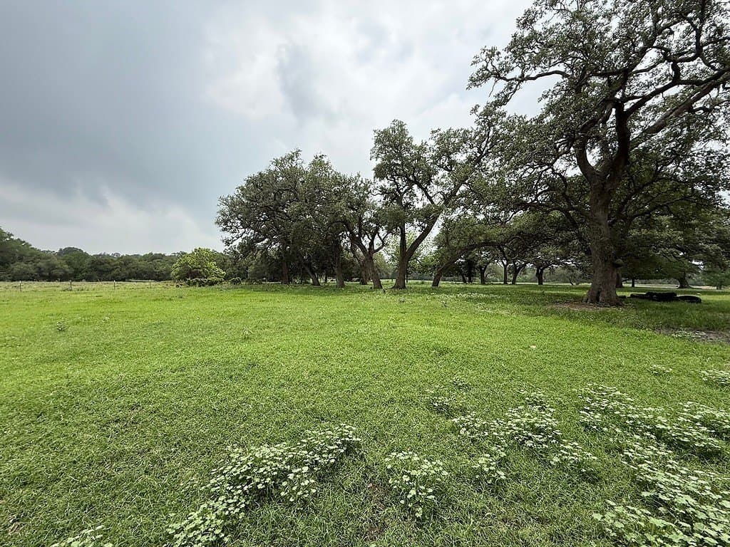 11.5 acres in Fayette County gallery image 4