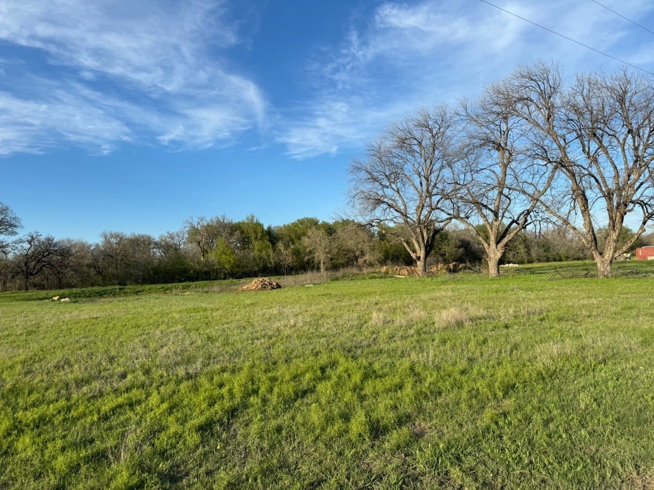 15 acres in Erath County gallery image 4